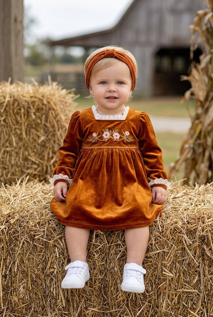Golden brown Velvet Dress