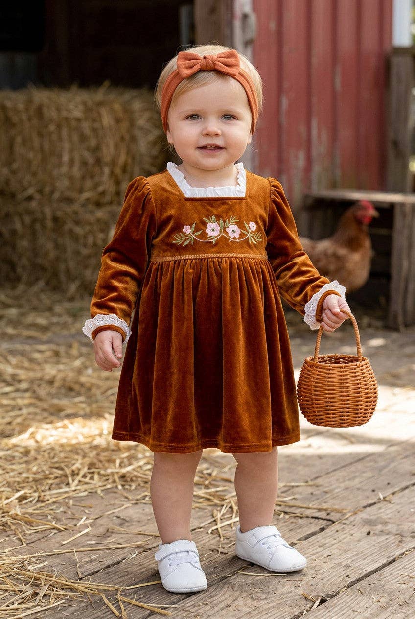 Golden brown Velvet Dress