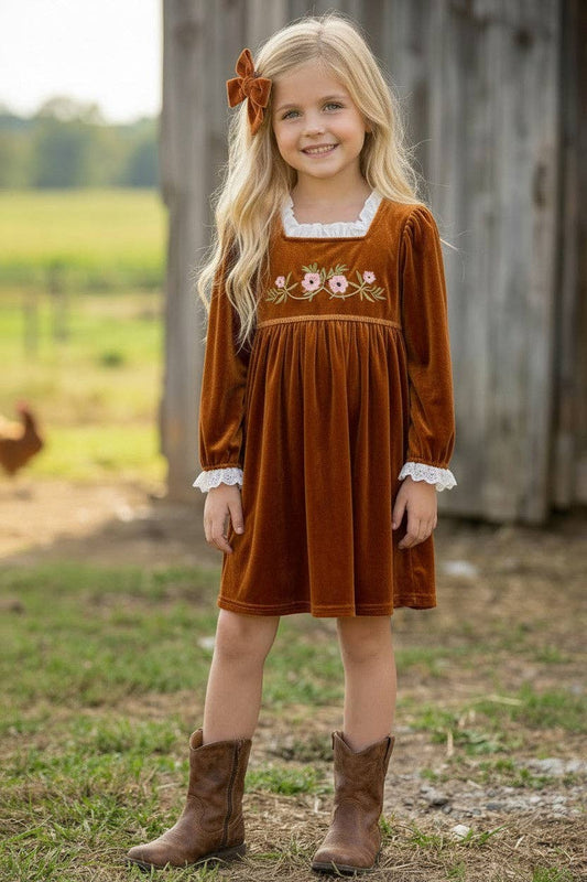 Golden brown Velvet Dress