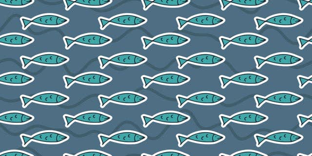 Blue Fish Baby Gown: 0-3 Months